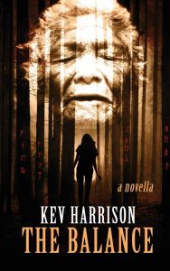 The Balance by Kev Harrison book cover